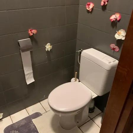 Διαμέρισμα House Μπαστόν